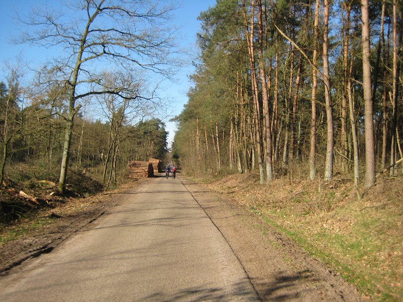 Losser 125